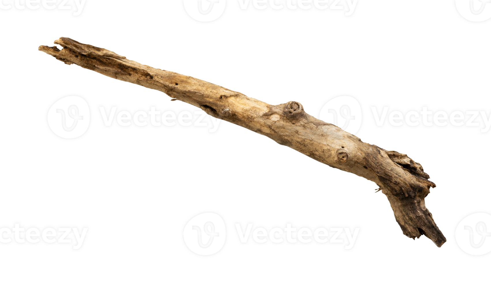 Old dead wood isolated element 24867374 PNG
