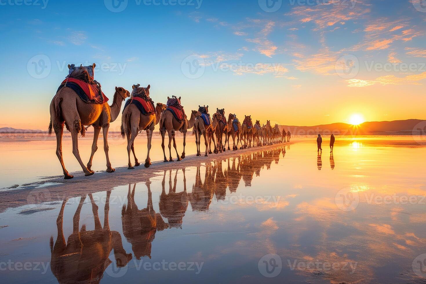 Caravan of camels on the salt lake at sunrise. photo