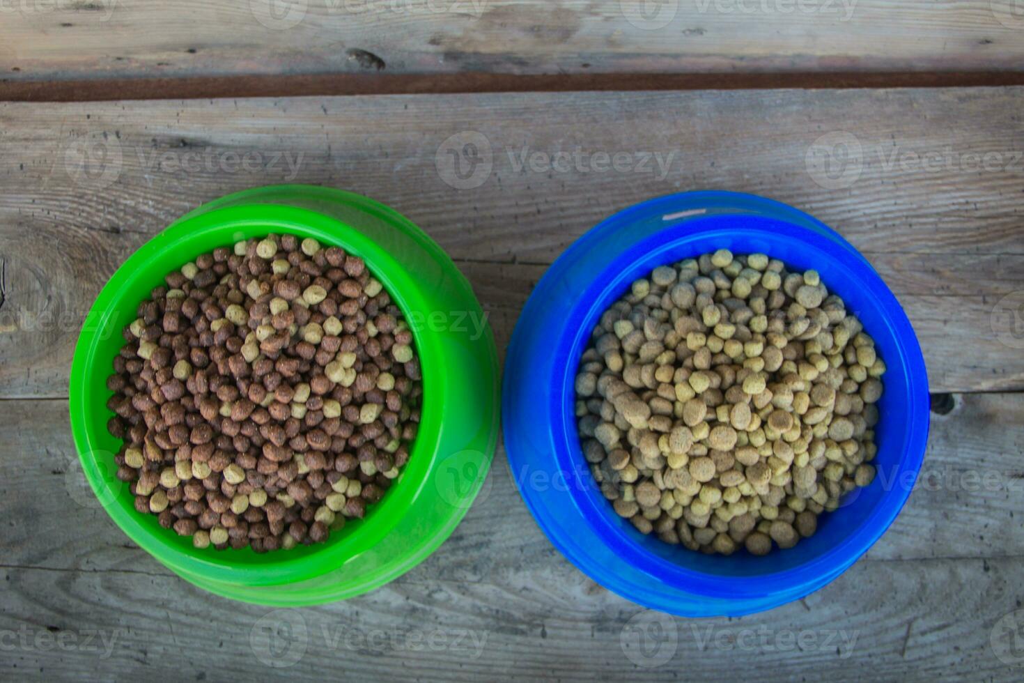 dishes filled with pellets balanced food for dogs photo