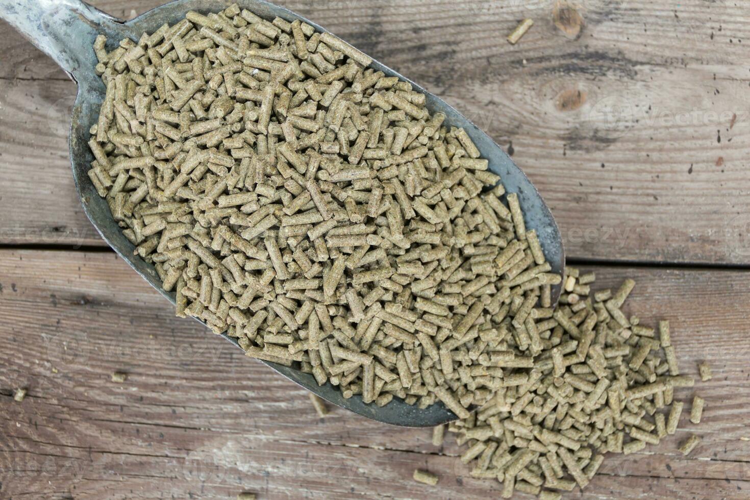 a spoon with pellets for rabbits for sale in the forage photo