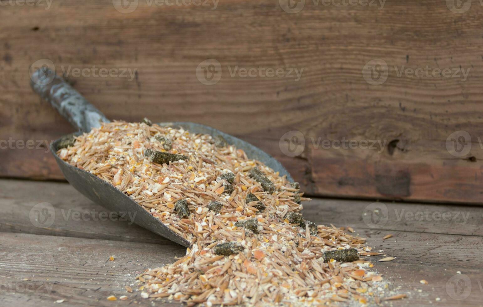 mixture of grains and pellets for horse feed for sale in the forage photo