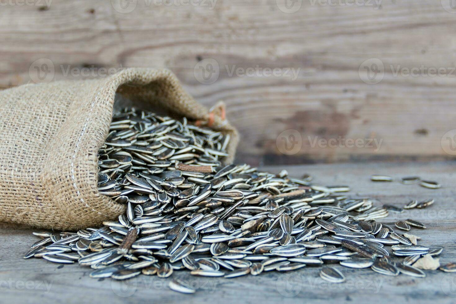 bag with variety of sunflower seeds on rustic wooden background photo
