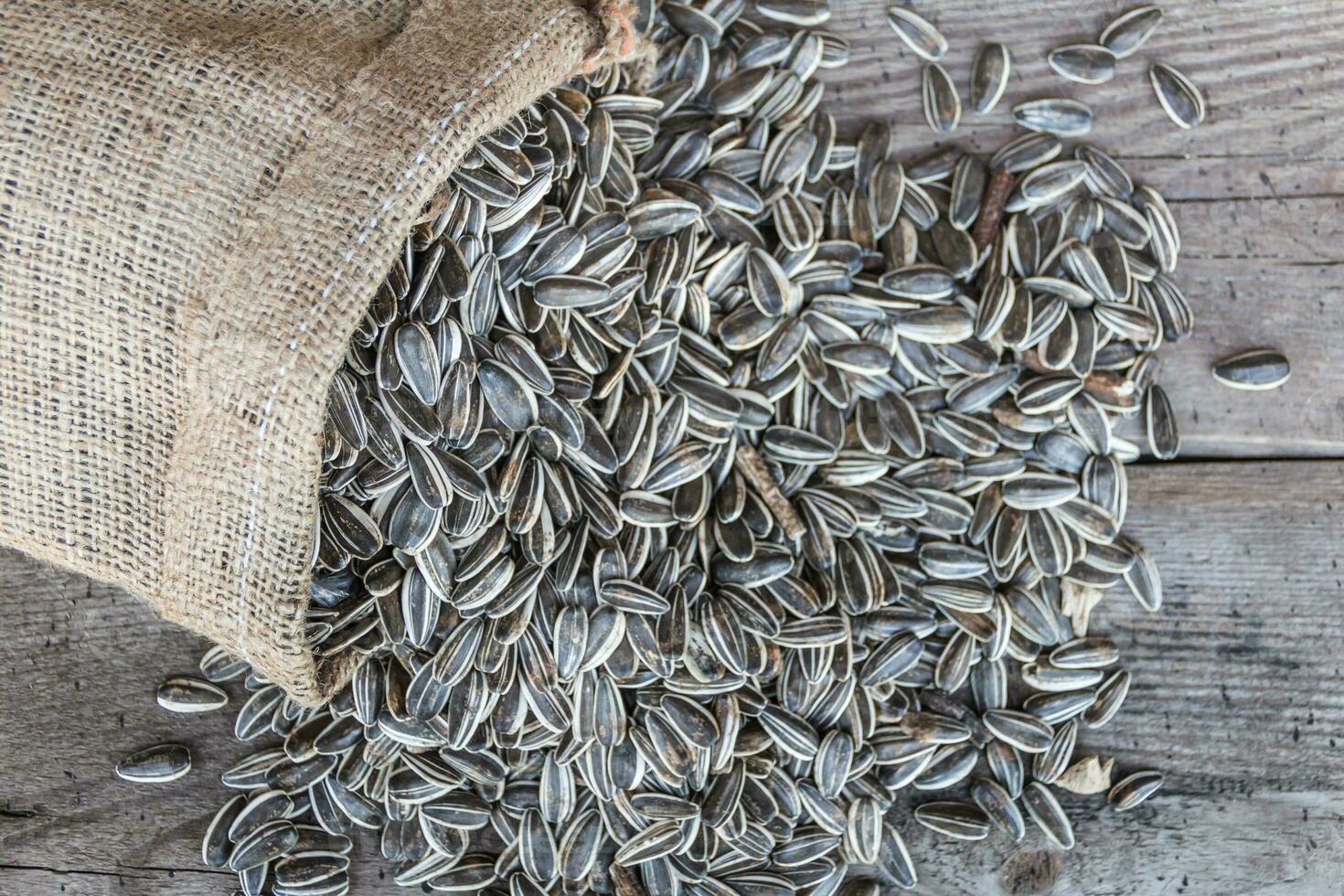 bag with variety of sunflower seeds on rustic wooden background photo