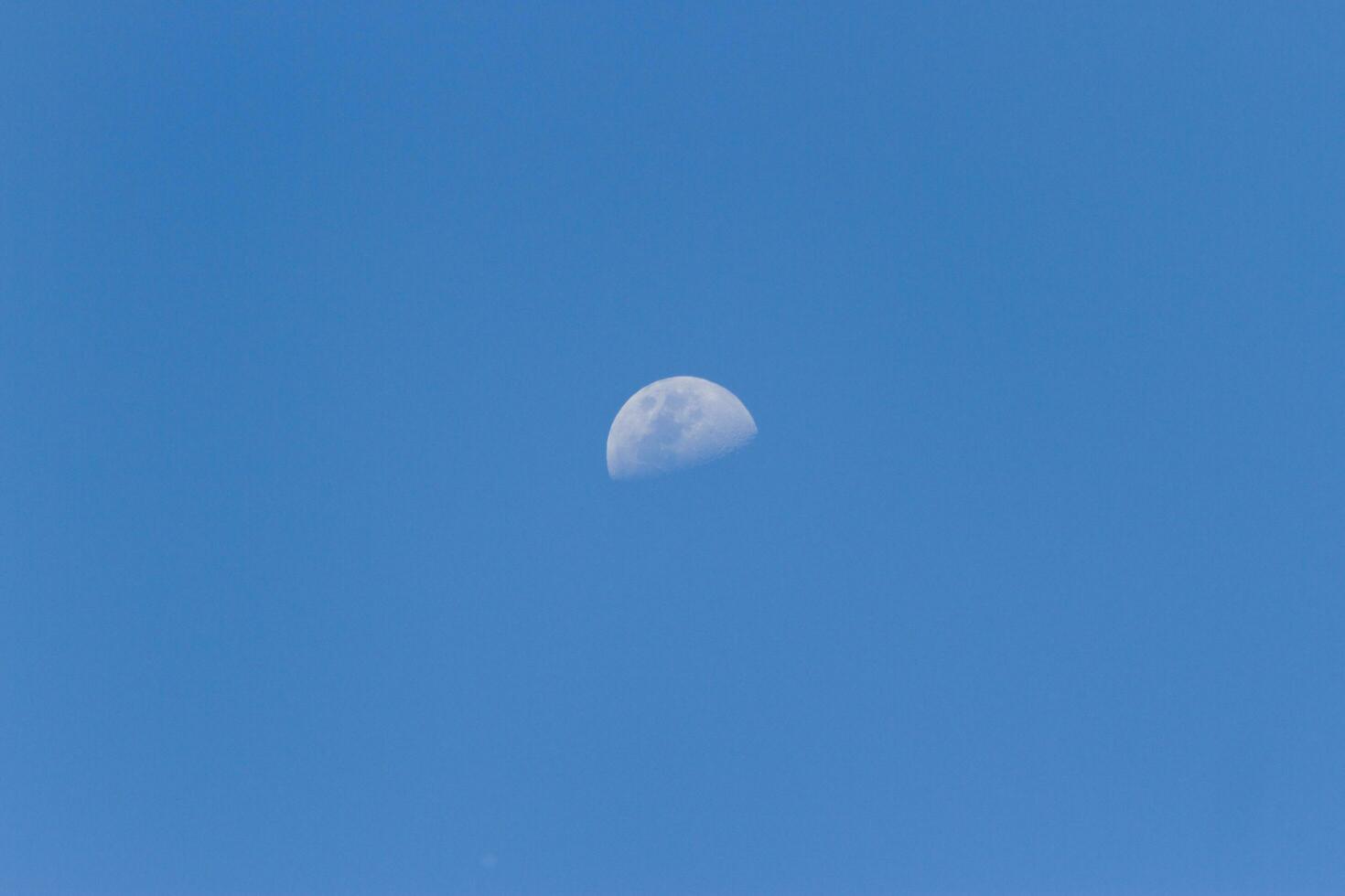 A horizontal shot of a half-moon visible during daylight in the blue sky photo