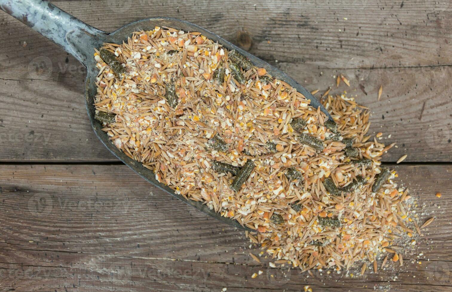mixture of grains and pellets for horse feed for sale in the forage photo