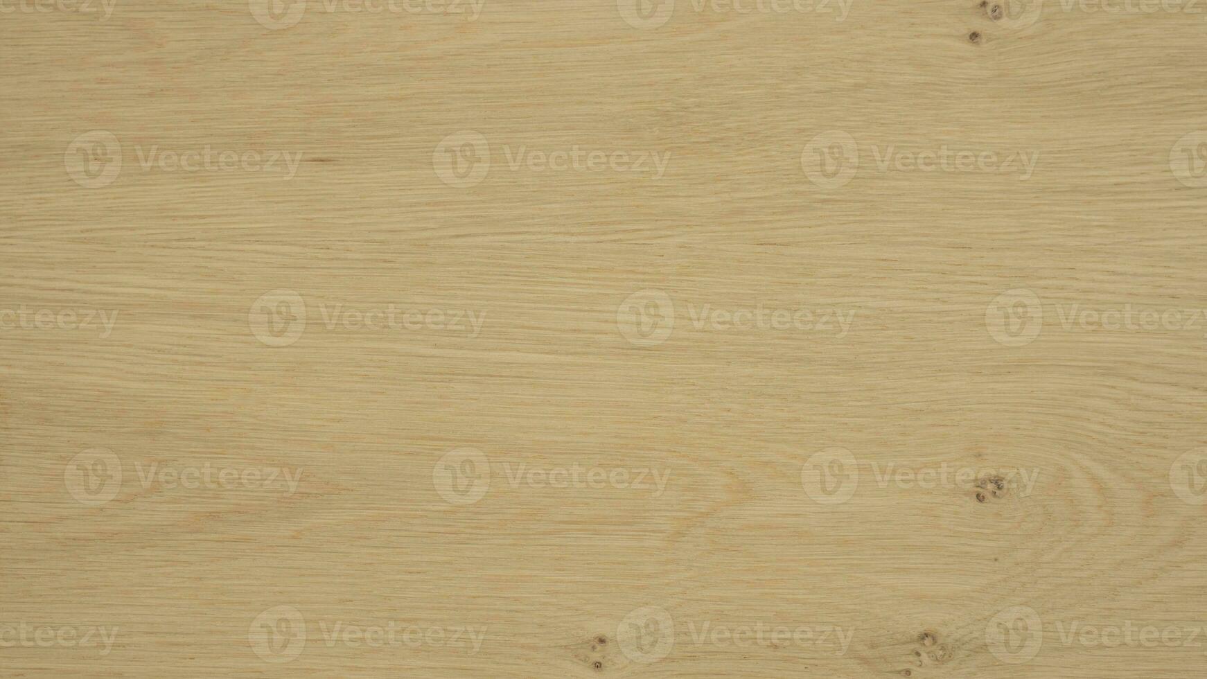 Detailed texture oak sheet or board material BC quality with knots and alburnum photo