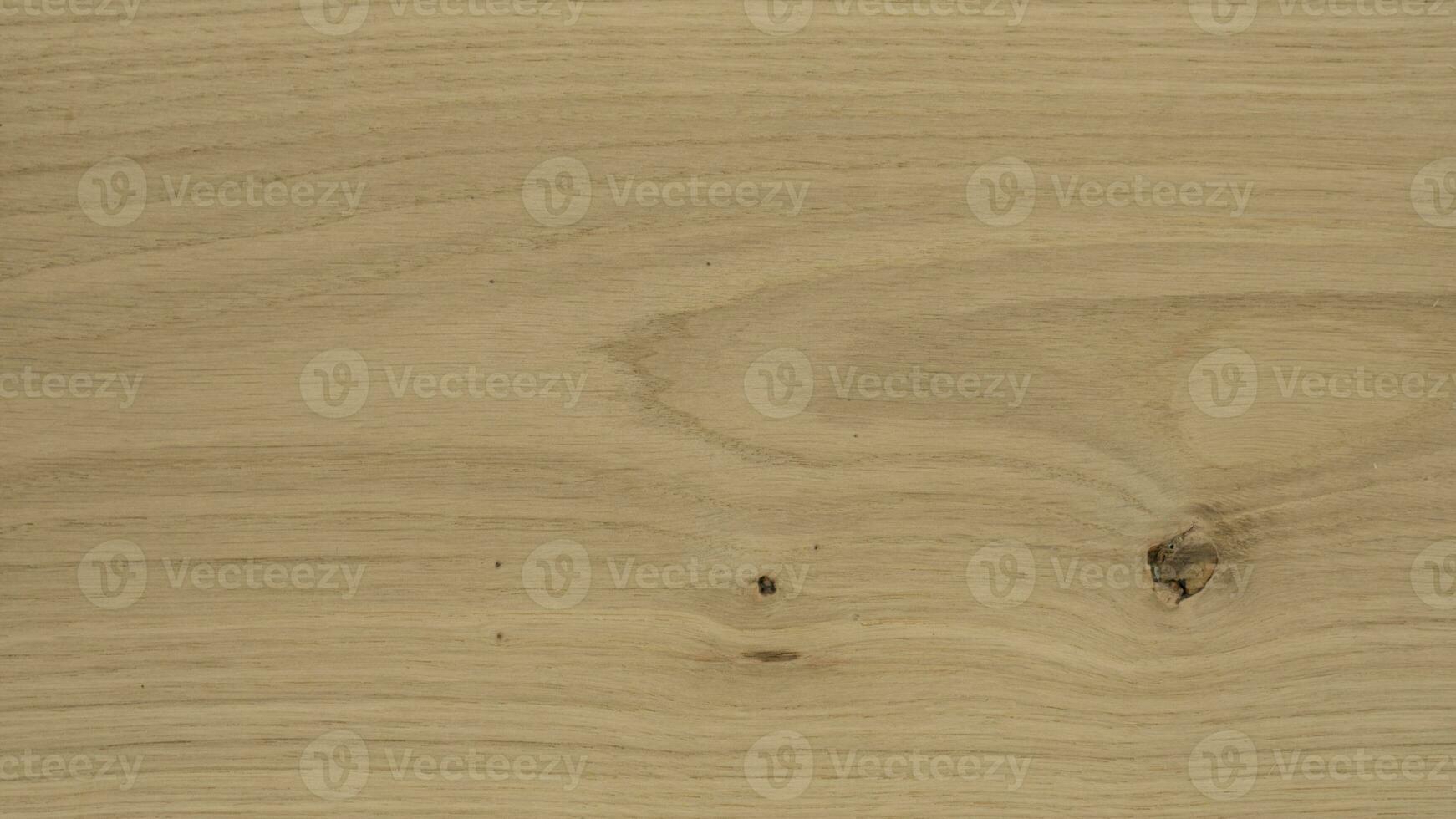Detailed texture oak sheet or board material BC quality with knots and alburnum photo