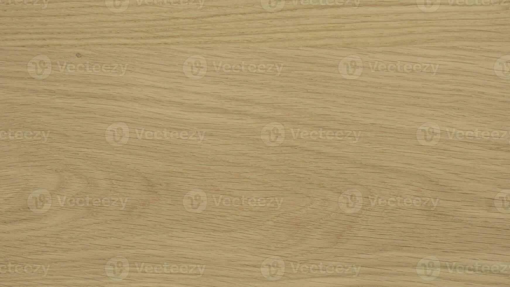 Oak detailed texture. High quality photography from Oak AB quality sheet material photo
