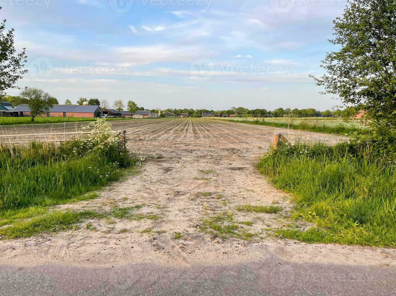 Experience the rustic charm of a plowed field merging with sandy textures, revealing a captivating landscape where nature's raw beauty unfolds photo