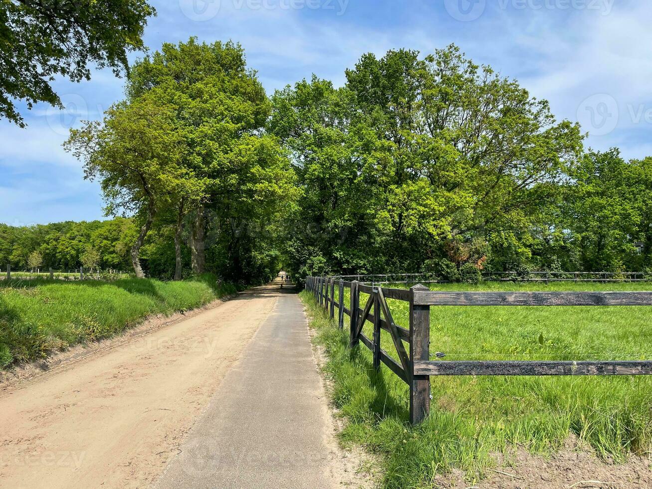 Embark on a captivating adventure along the sandy road path, where every step unveils a serene and immersive experience in nature's untouched beauty photo