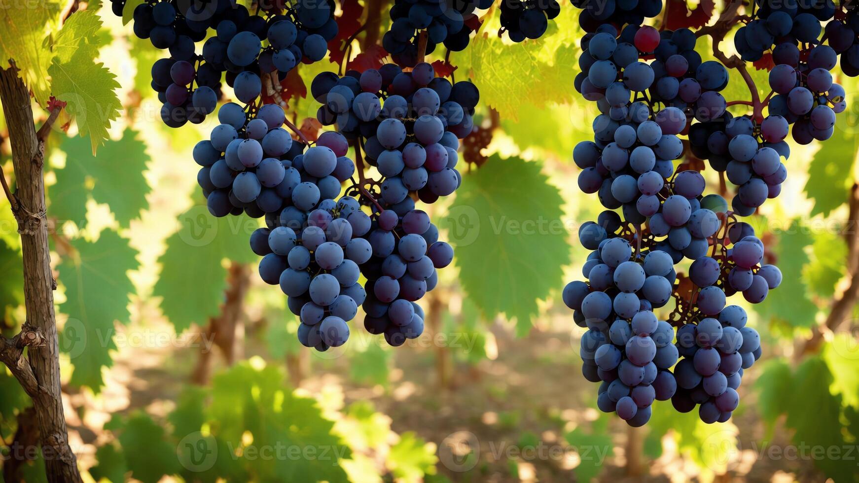 blanco vino por uvas en sombra con vista a viñedo campo. ai generado foto