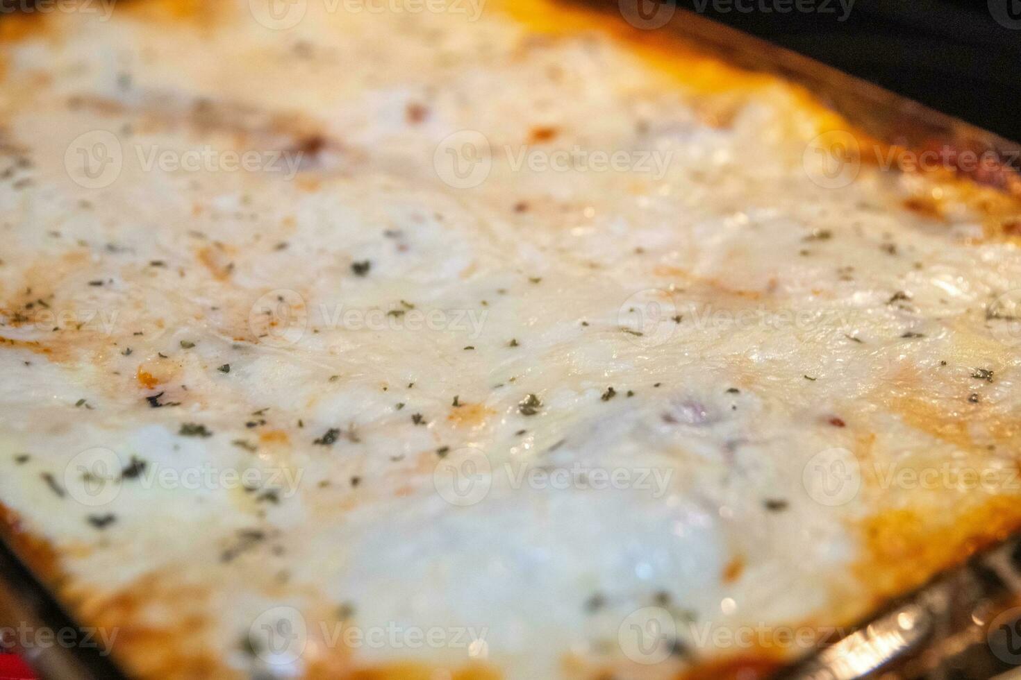 Baked lasagna dish photo