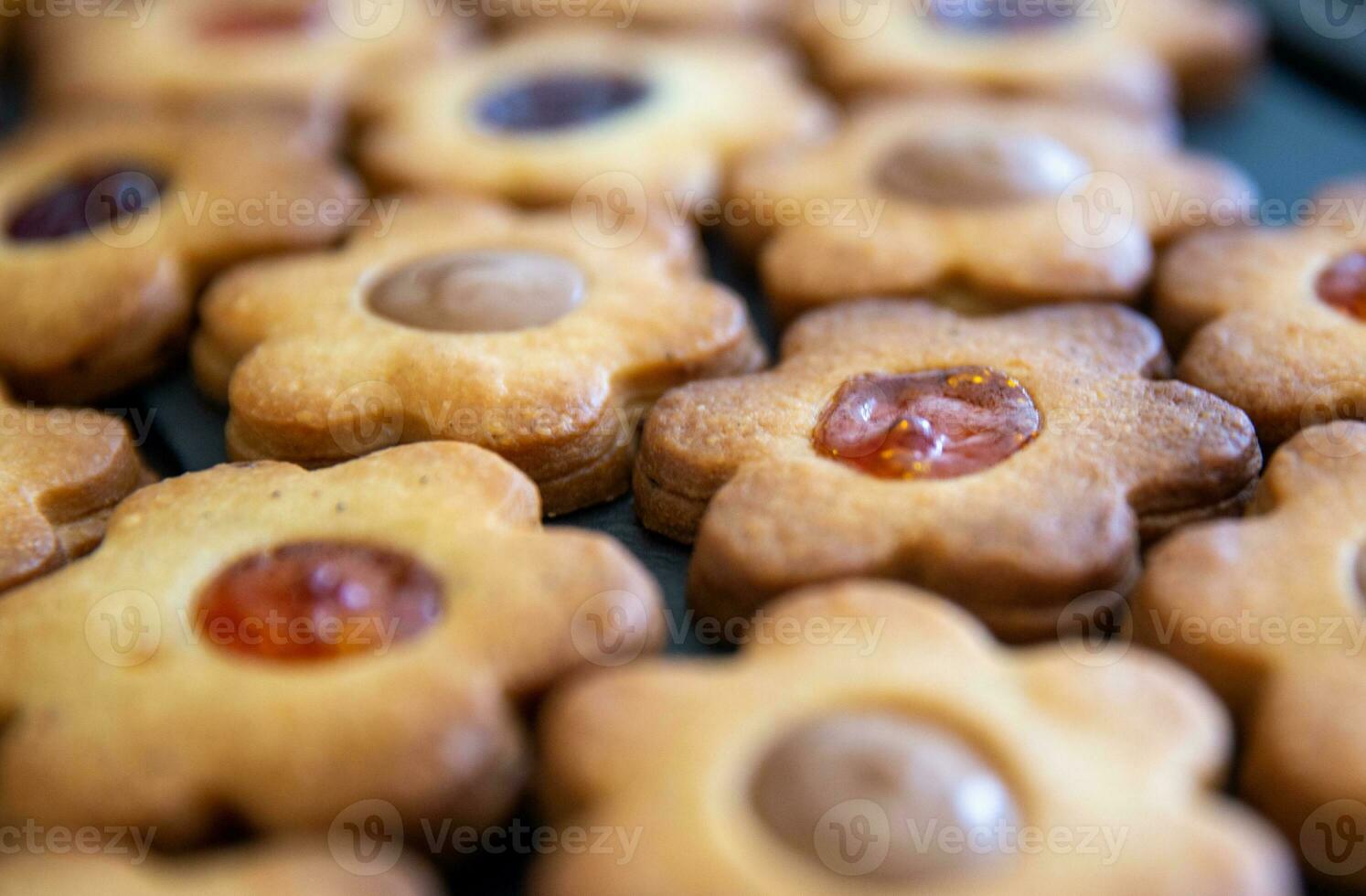 Freshly baked cookies photo
