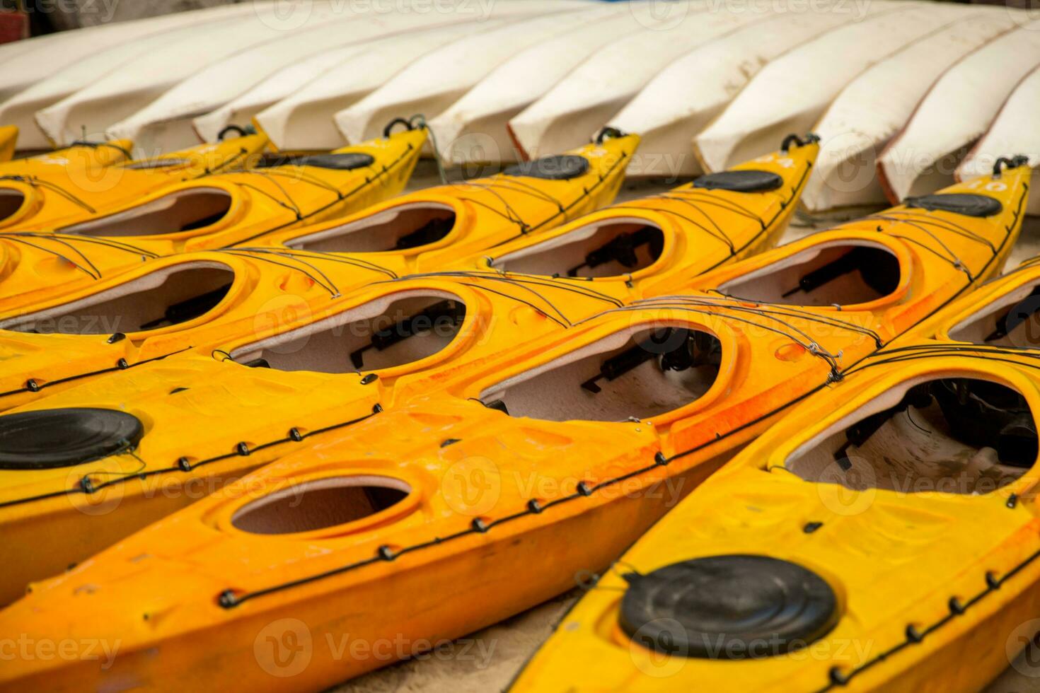 Kayaks lined up photo