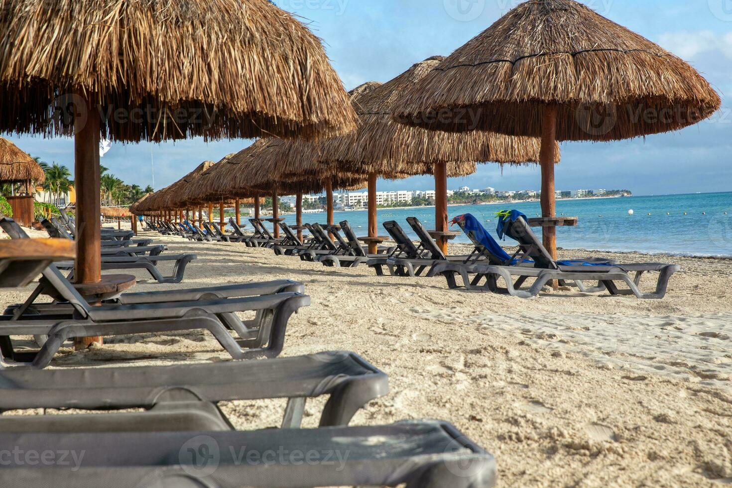 Rows of Palapas photo