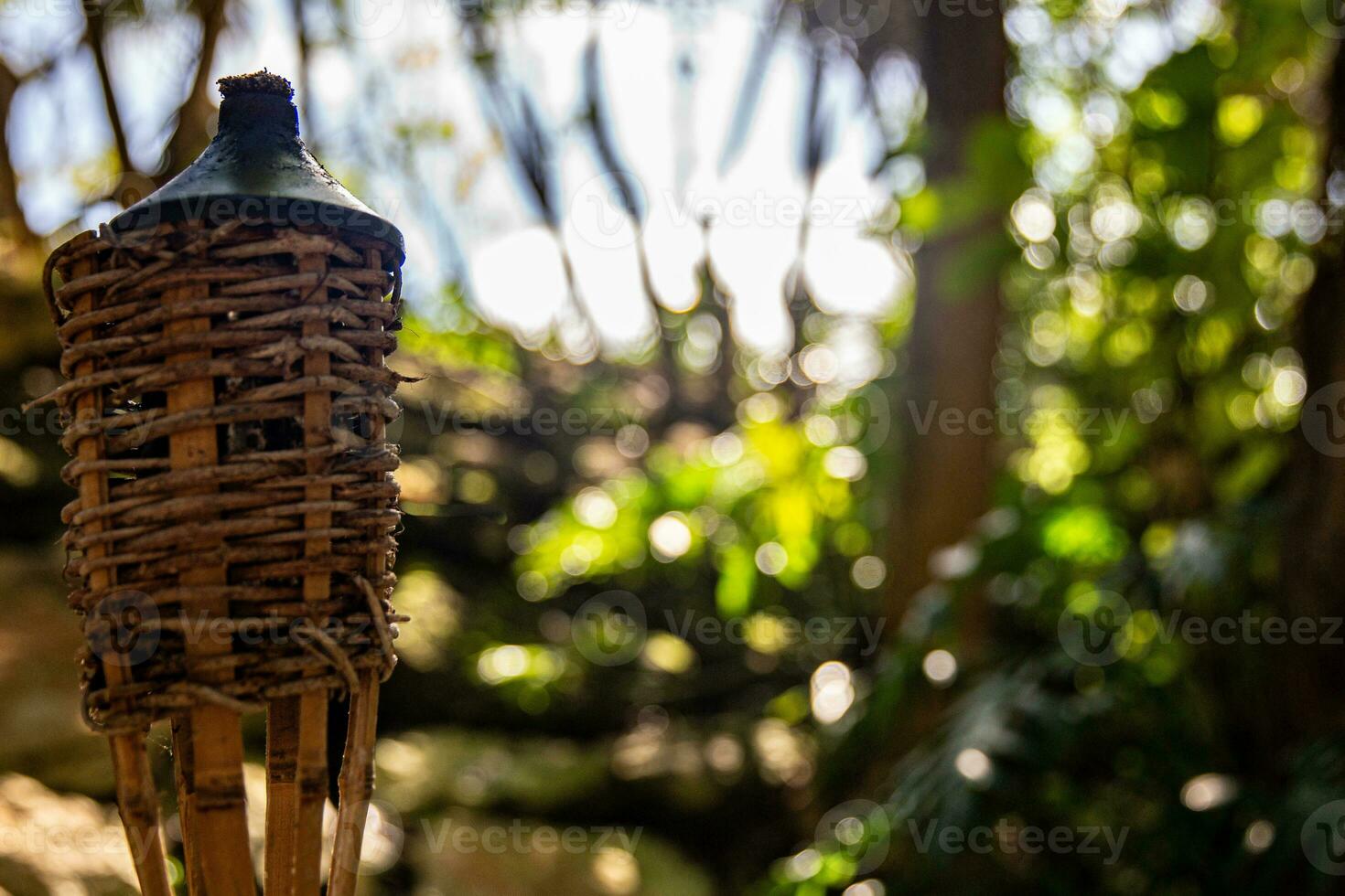 Unlit tiki torch photo