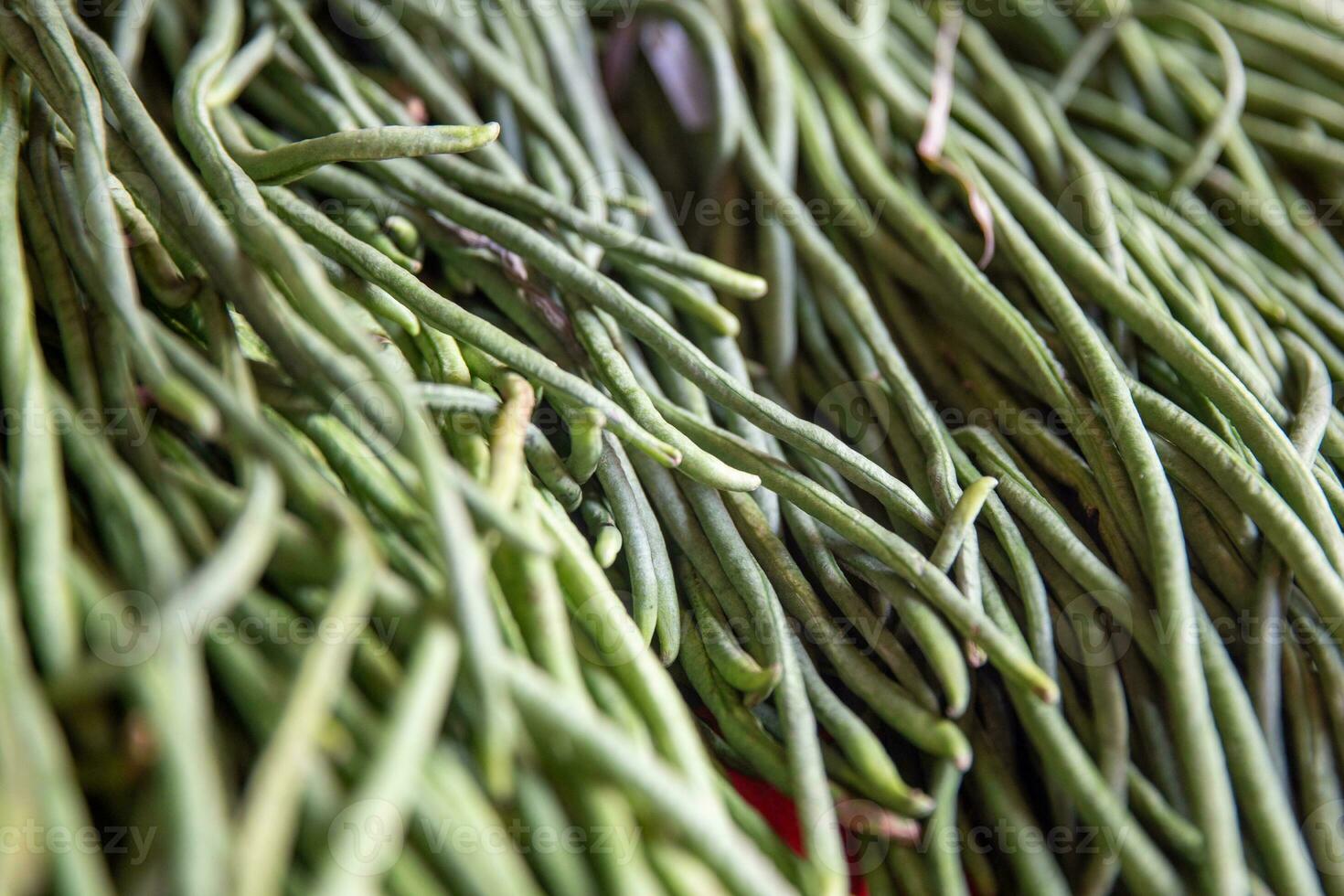 Bunch of Green Beans photo