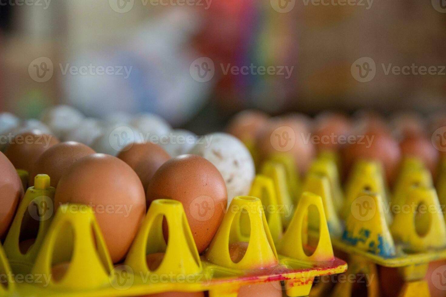Crate of Eggs photo