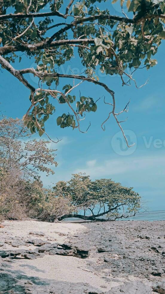 Defocused image of a panoramic photo