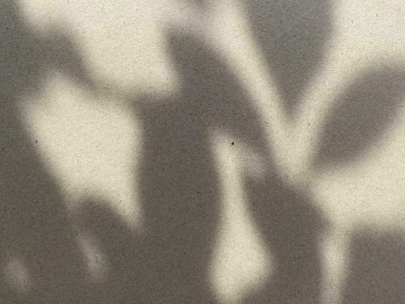 Leaves shadow background on concrete wall texture, leaves tree branches shade with sunlight photo