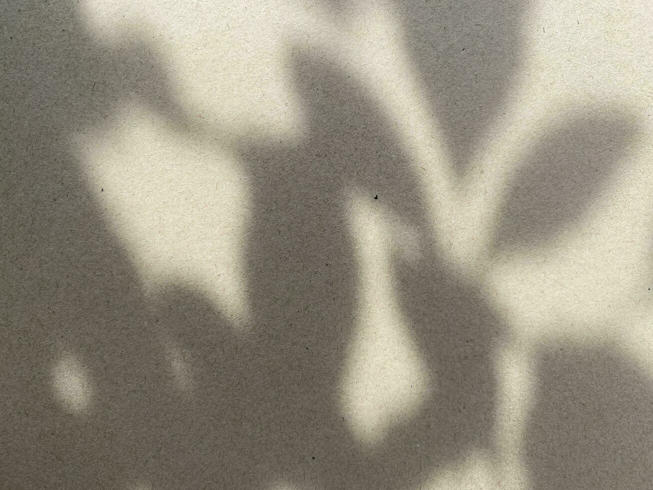 Leaves shadow background on concrete wall texture, leaves tree branches shade with sunlight photo