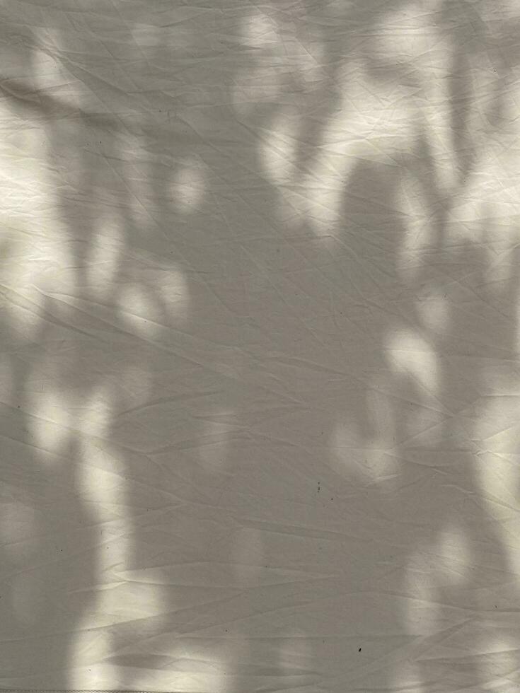 Leaves shadow background on concrete wall texture, leaves tree branches shade with sunlight photo