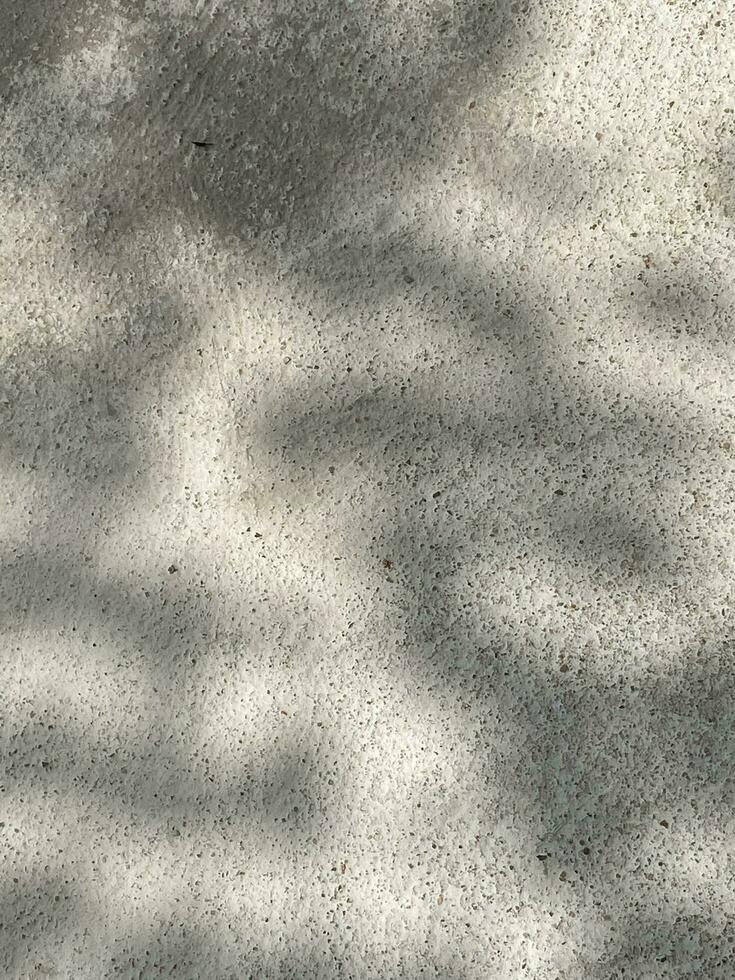 Leaves shadow background on concrete wall texture, leaves tree branches shade with sunlight photo