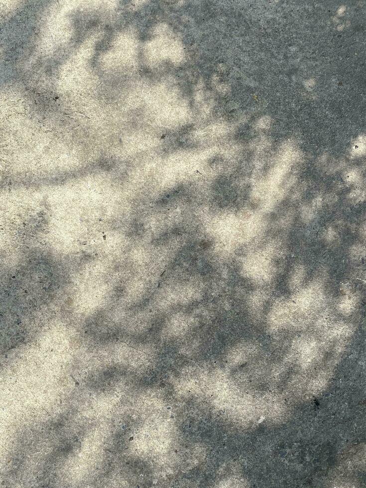 Leaves shadow background on concrete wall texture, leaves tree branches shade with sunlight photo