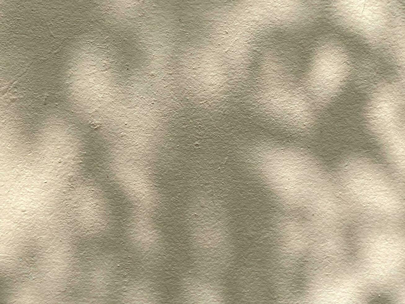 Leaves shadow background on concrete wall texture, leaves tree branches shade photo