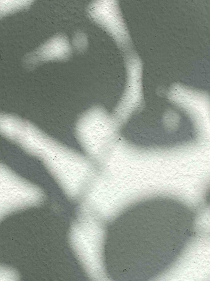 Leaves shadow background on concrete wall texture, leaves tree branches shade photo