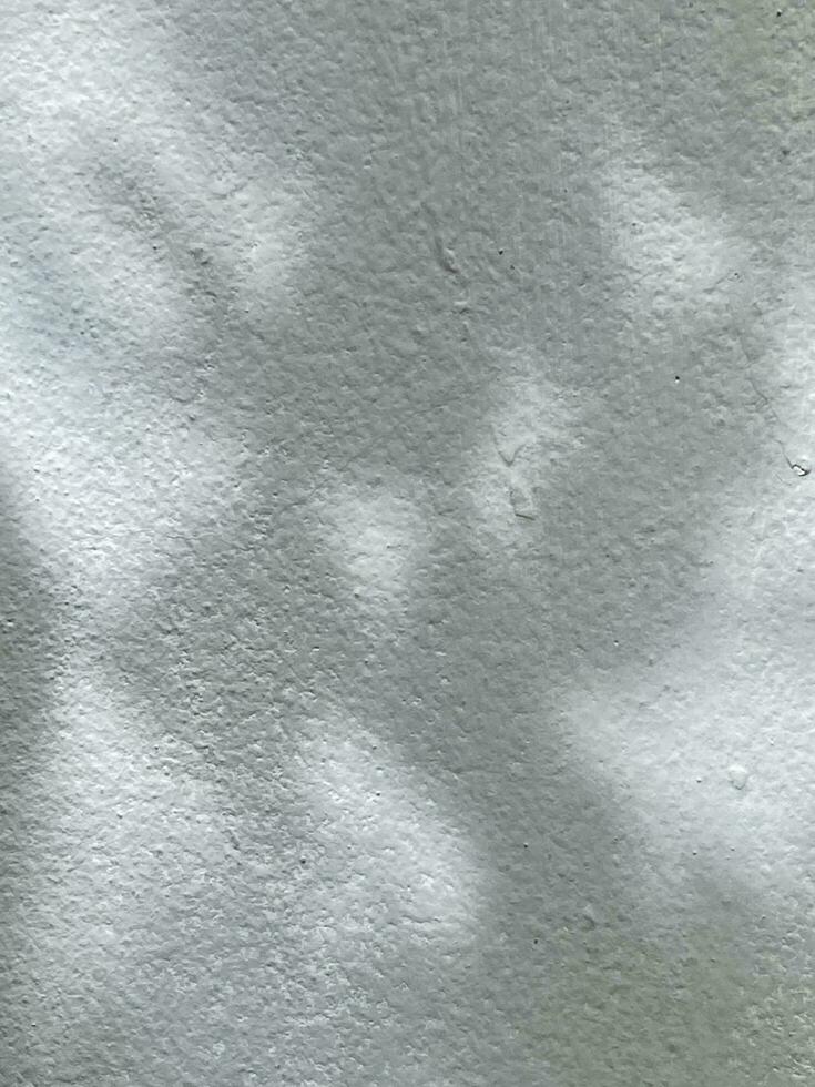 Leaves shadow background on concrete wall texture, leaves tree branches shade photo