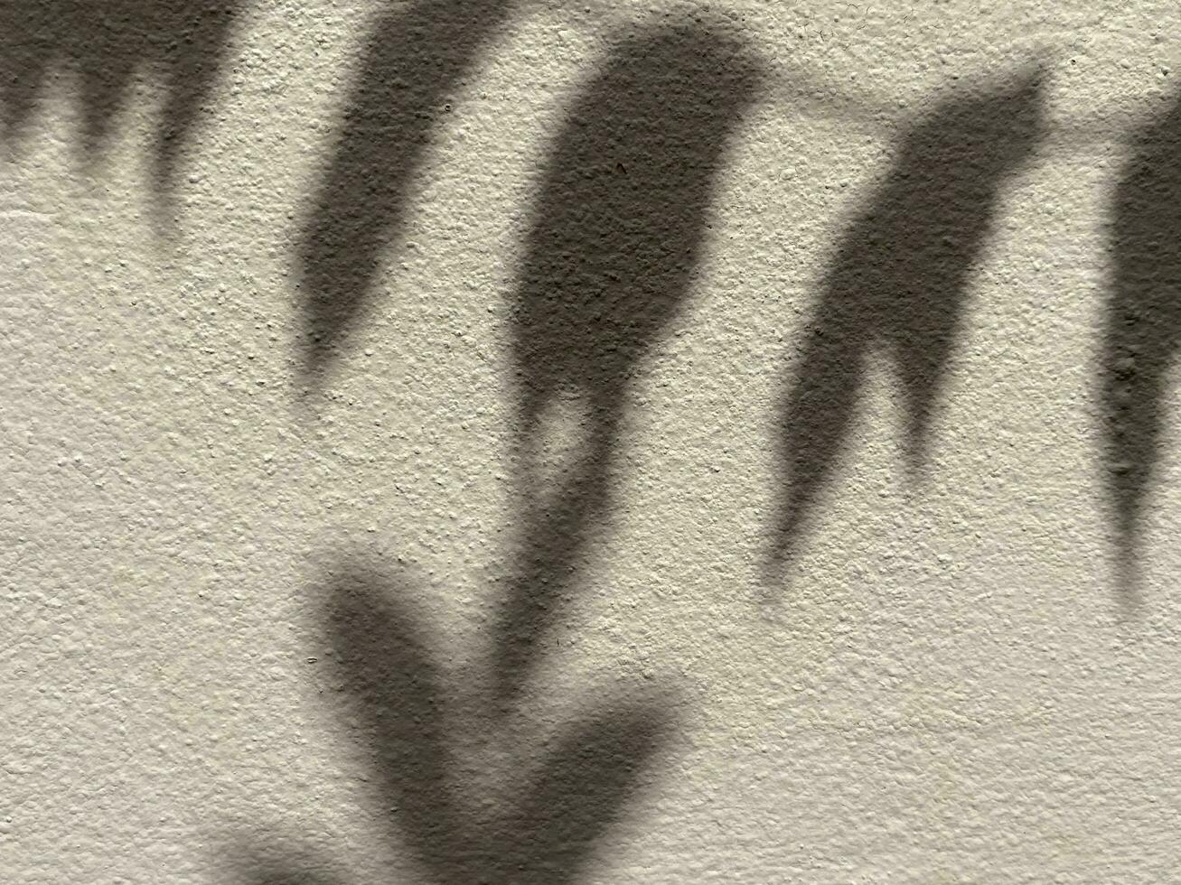 Leaves shadow background on concrete wall texture, leaves tree branches shade photo