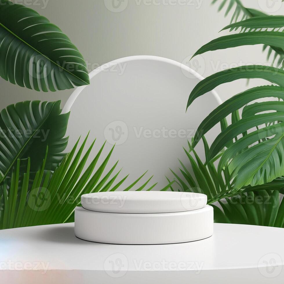 white product podium with green tropical palm leaves photo