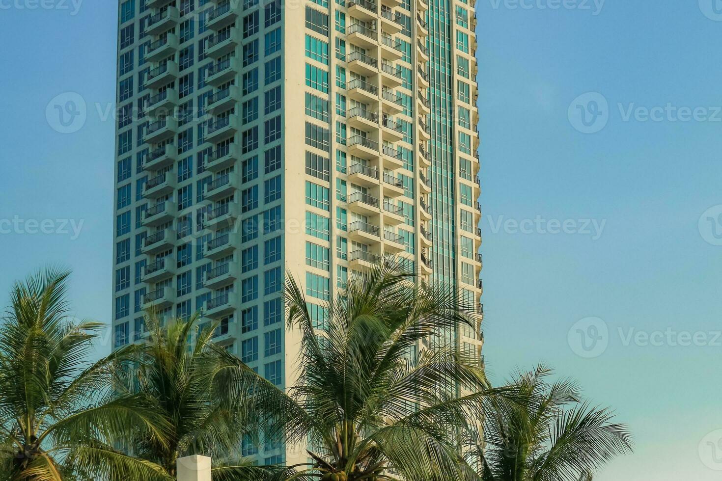 image of palm trees and modern style buildings seen from Beach Ancol photo