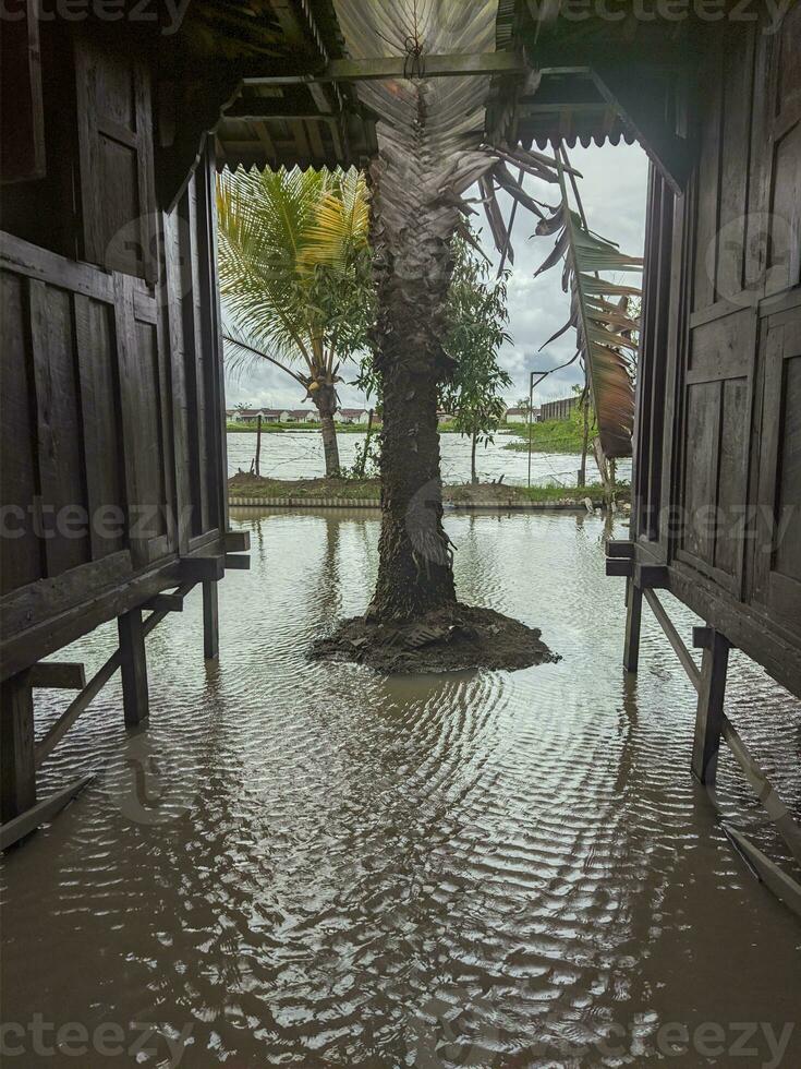 Lake in Cafe with two house photo