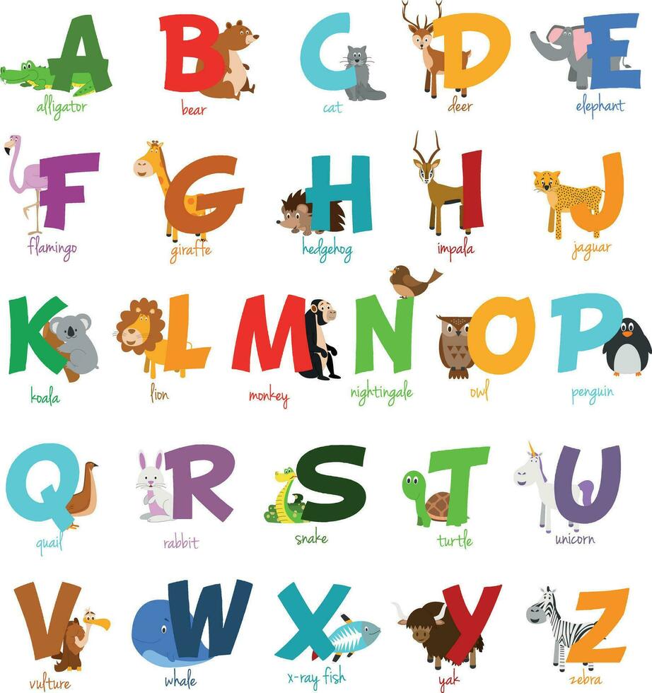 linda dibujos animados zoo ilustrado alfabeto con gracioso animales Inglés alfabeto. aprender a leer. aislado vector ilustración.