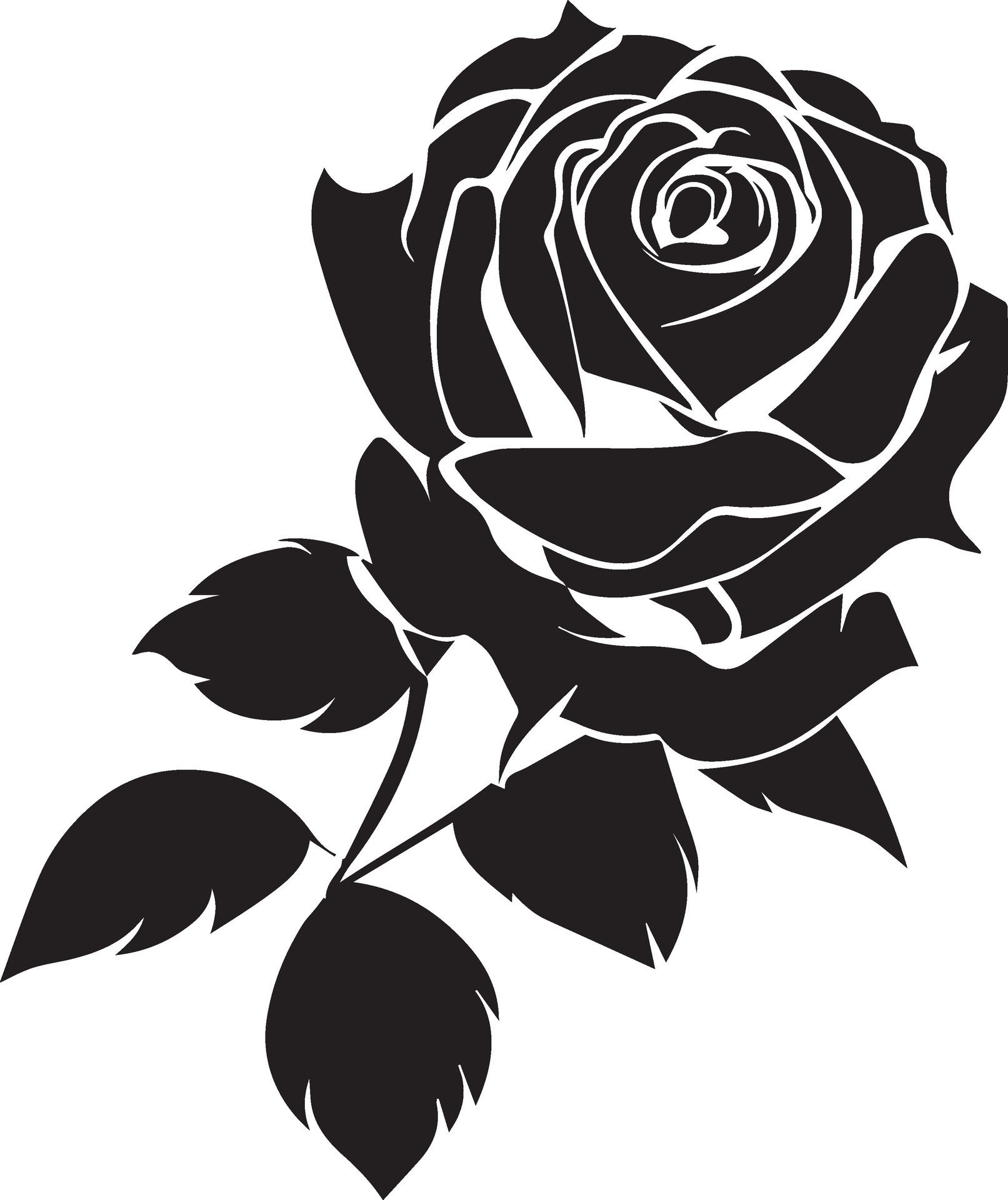 Rose Vector Design Silhouette illustration black color 24888746 Vector ...