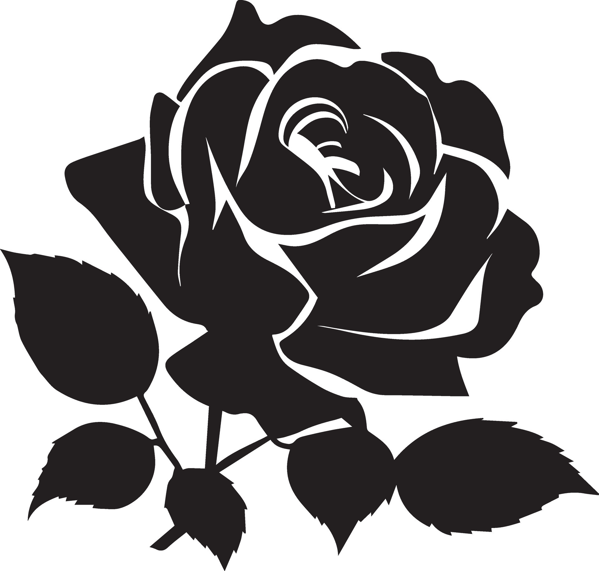 Rose Vector Design Silhouette illustration black color 24888758 Vector ...