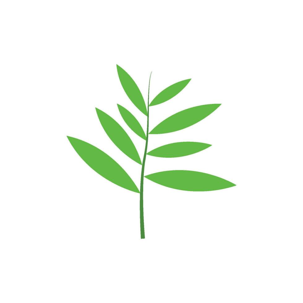 Green tree leaf vector illustration isolated on transparent background