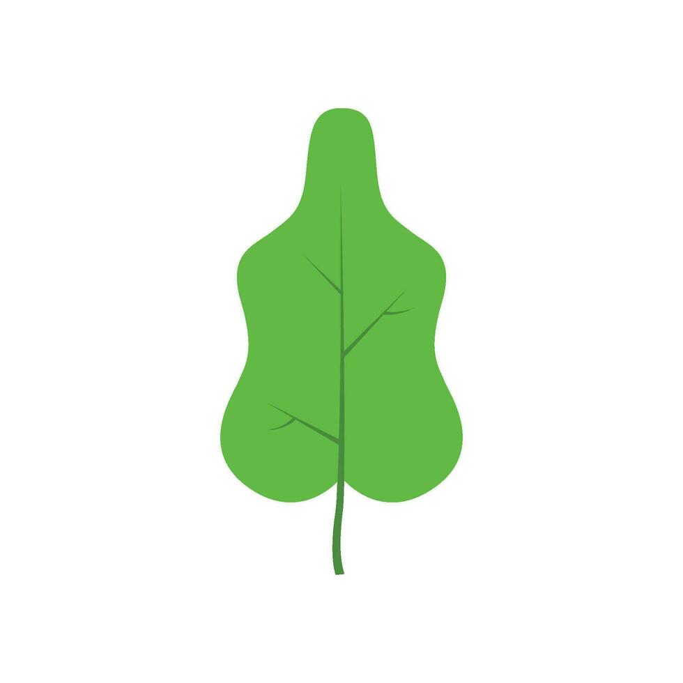 Green tree leaf vector illustration isolated on transparent background