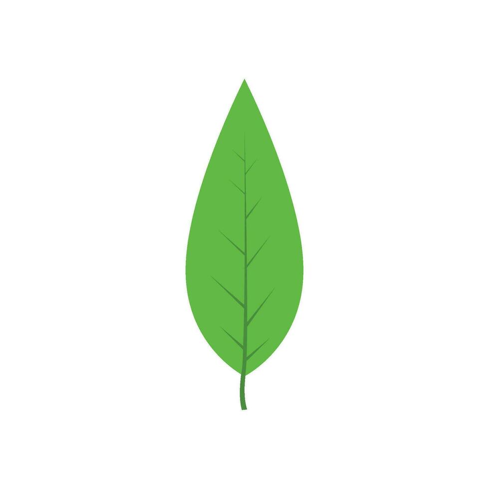 verde árbol hoja vector ilustración aislado en transparente antecedentes