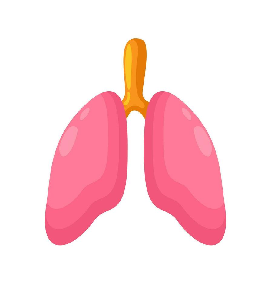 Lungs. Vector bright isolated illustration.