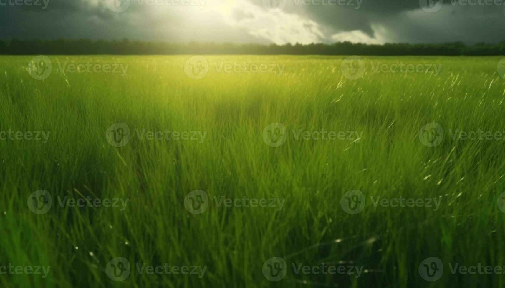 Idyllic meadow, yellow wheat, and green forest against blue horizon generated by AI photo