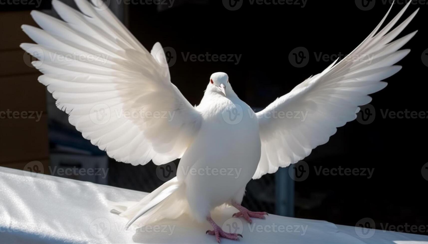 puro amor en movimiento buscador de blancos Paloma gracia en medio aire vuelo generado por ai foto