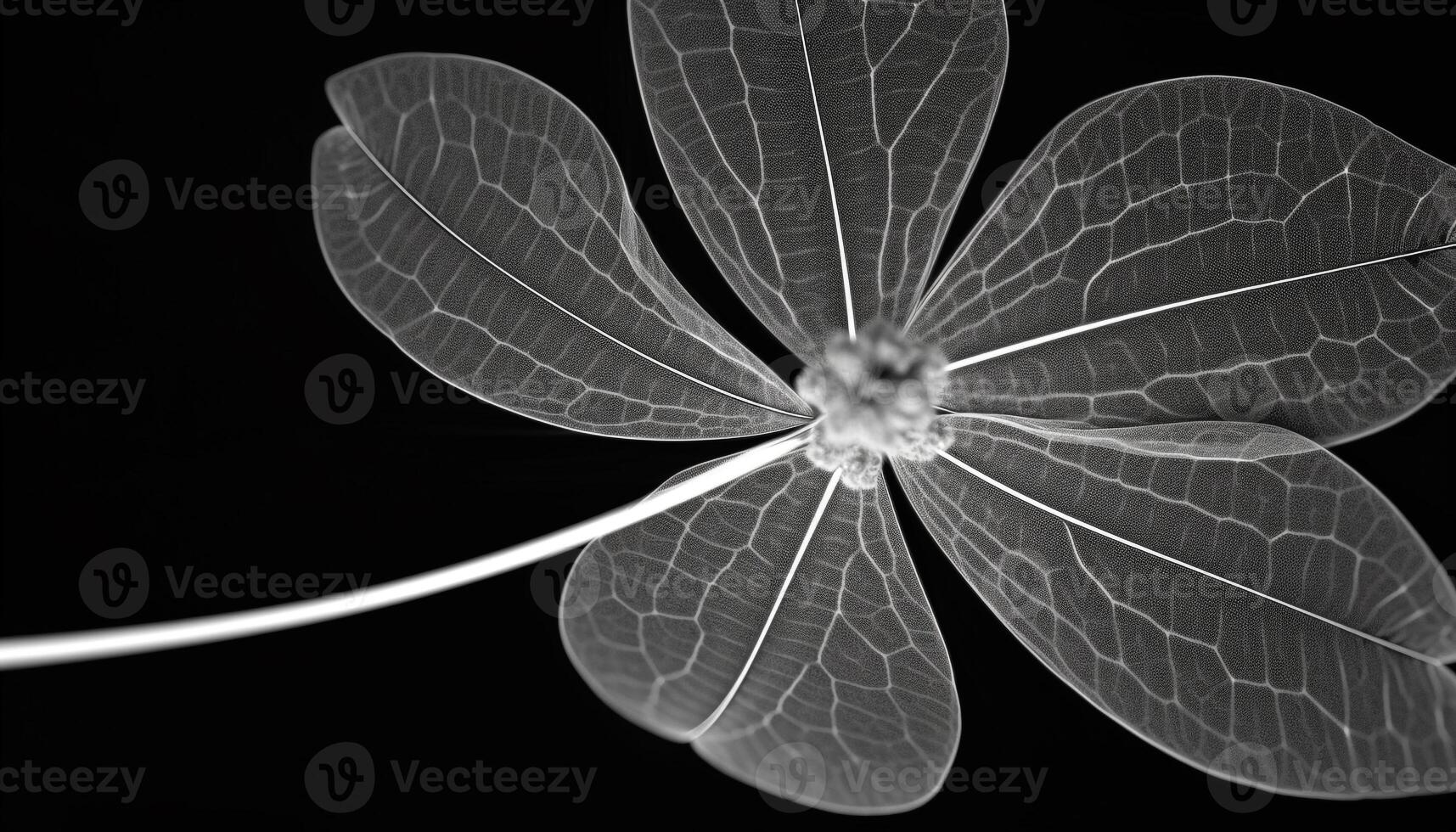 Organic floral pattern on black background showcases nature elegance generated by AI photo