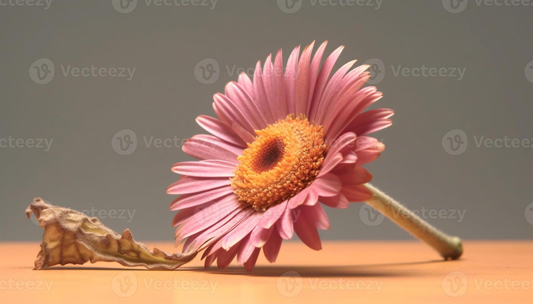 Vibrant gerbera daisy bouquet, a gift of love in summer generated by AI photo