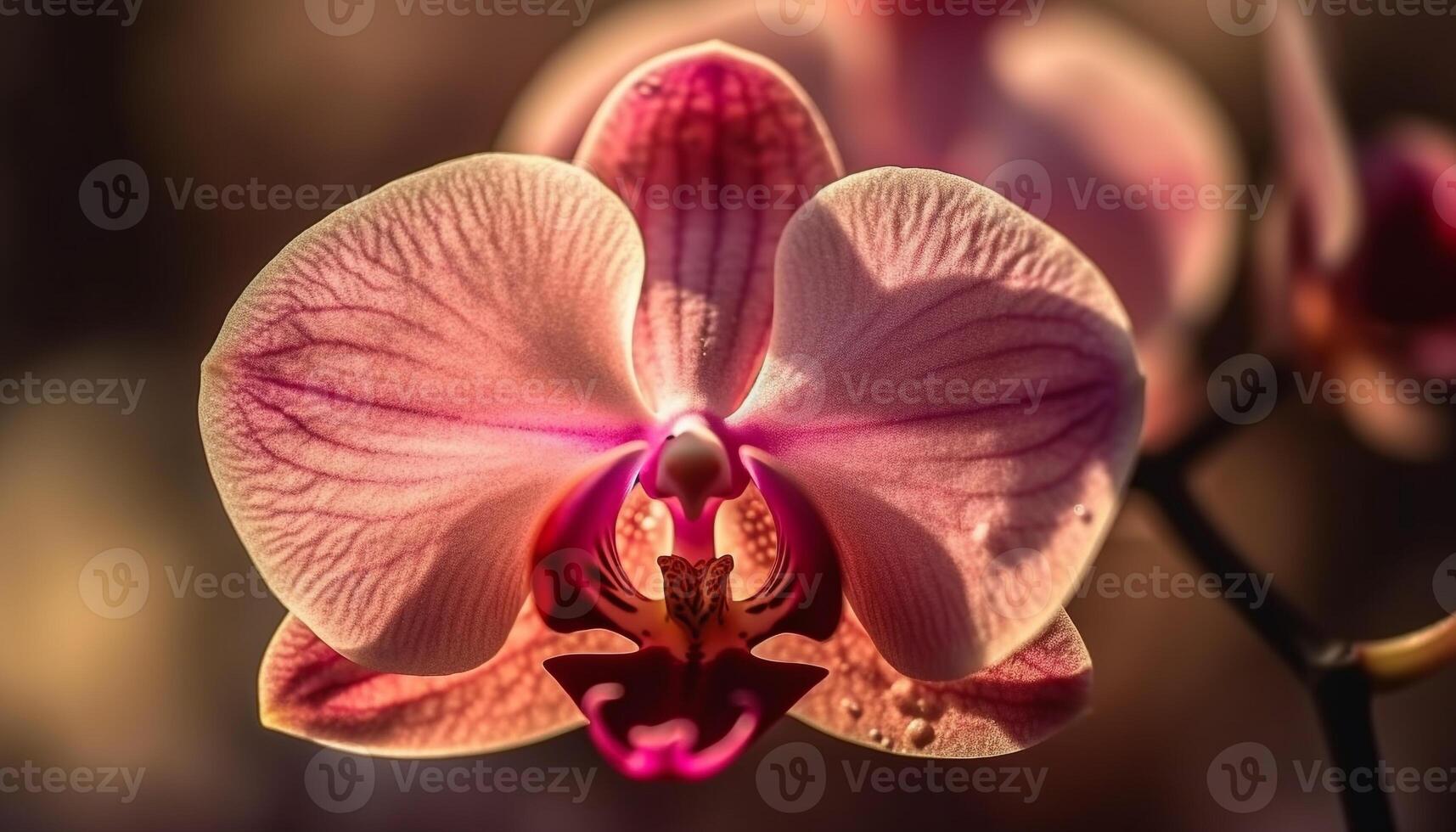 A vibrant bouquet of multi colored orchids, a gift of nature generated by AI photo