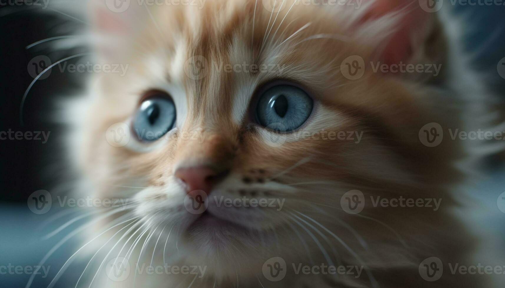 Fluffy Persian kitten stares with blue eyes, beauty in nature generated by AI photo