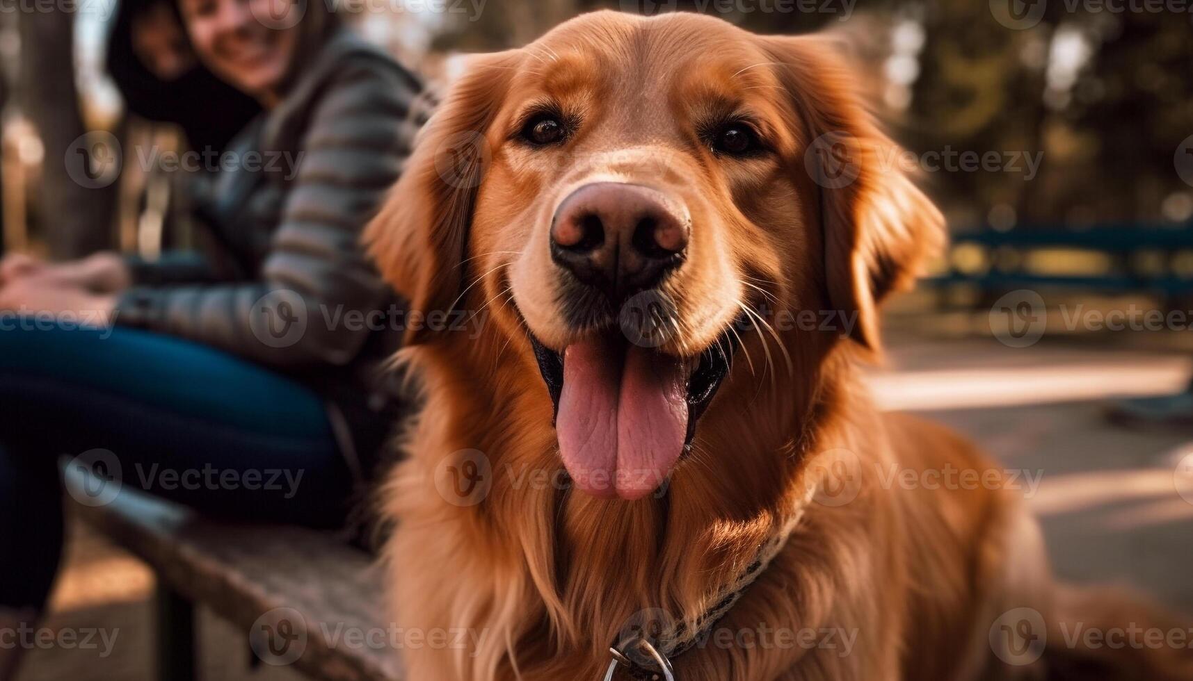 un alegre dorado perdiguero sentado al aire libre, sonriente a el cámara generado por ai foto