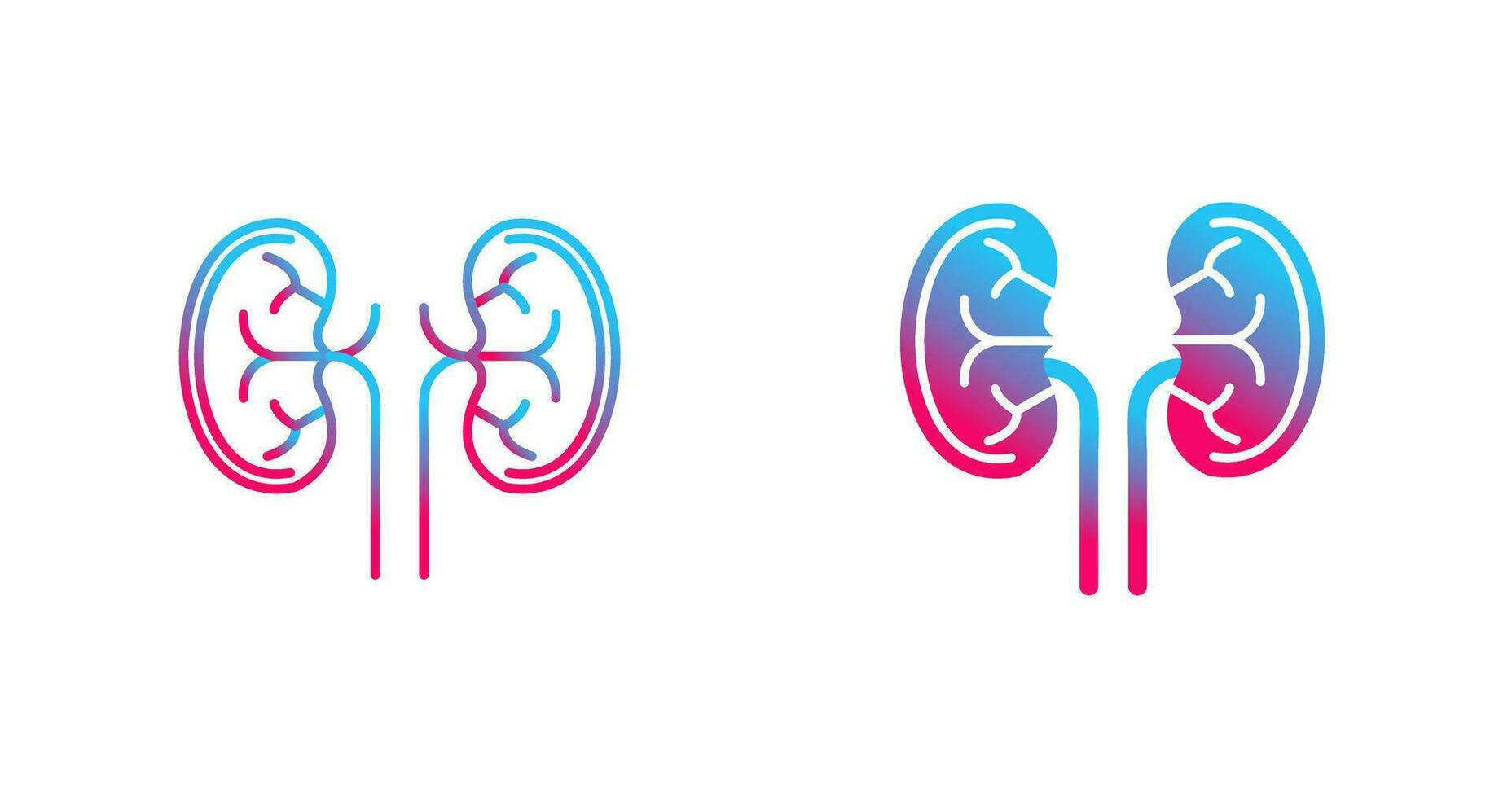 Kidney Vector Icon